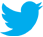 Twitter Bird